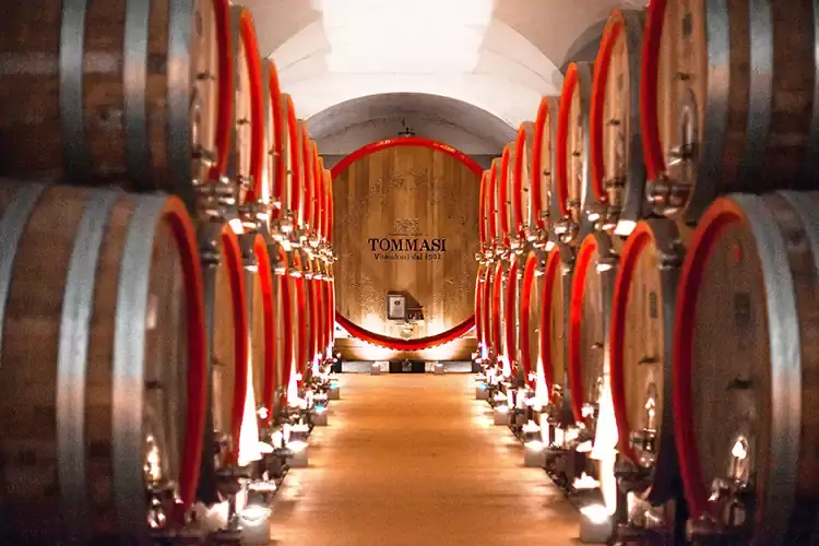 La Cantina Magnifica dedicata all'affinamento dell'Amarone Tommasi, degustazione lungo l&rsquo;Italia